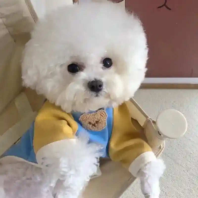 Maglietta per cani con orsetti colorati – Morbida e divertente