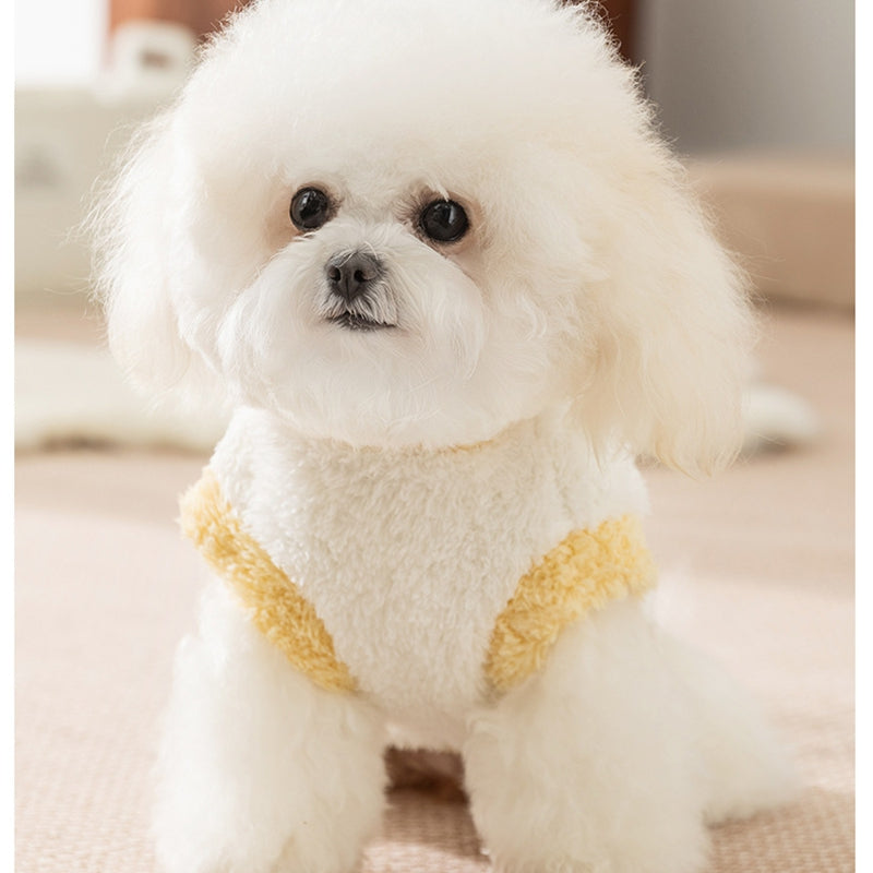 Koala Sweater for Dogs and Cats - White with Peach Details