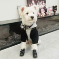 Sudadera para Perro con Capucha Efecto Dos Piezas Negro Gris