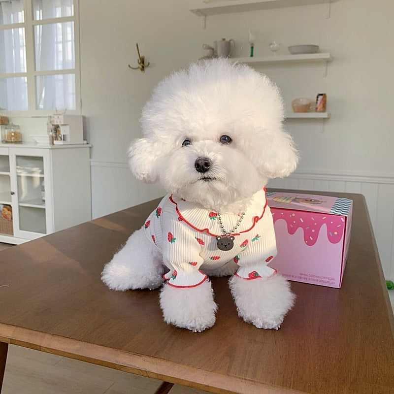Strawberry Ice Cream Dog Sweater | Dogmoda