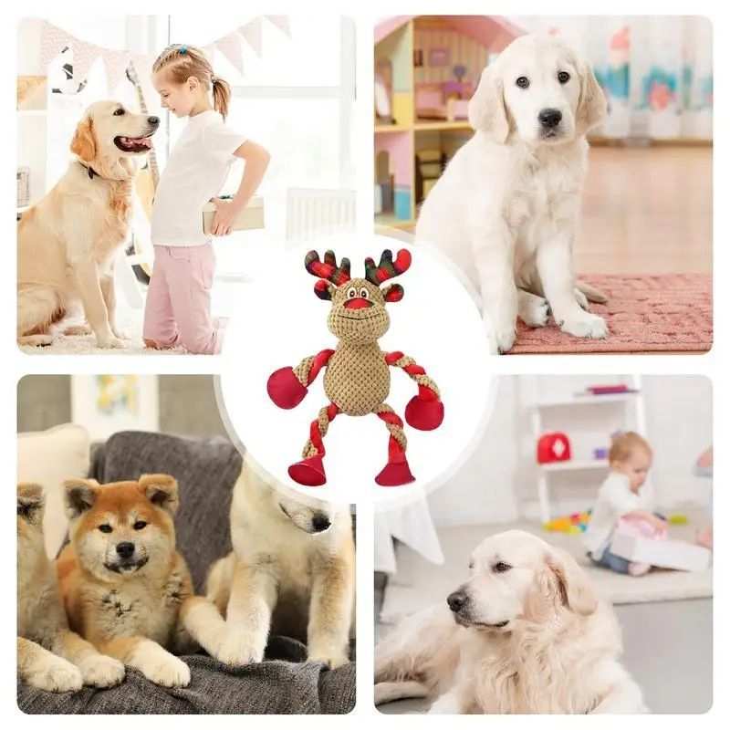 Christmas Dog Toys – Interactive, Squeaky &amp; Great for Chewers