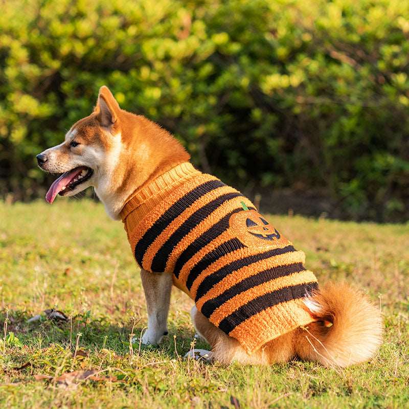 Maglioncino per Cani Halloween a Righe Arancione e Nero con Ricamo di Zucca