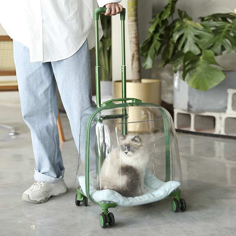 Trolley Trasparente per Cani e Gatti - Controllo e Ventilazione Totale - Dog Moda