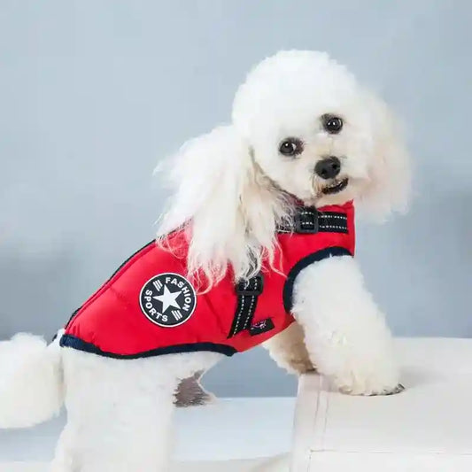 Cappotto Cane Impermeabile Sport - Gilet Imbottito Inverno by Dog Moda