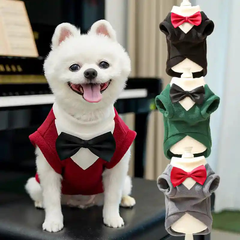 Maglia Cani Elegante Papillon Pile Nero Rosso Verde by Dog Moda