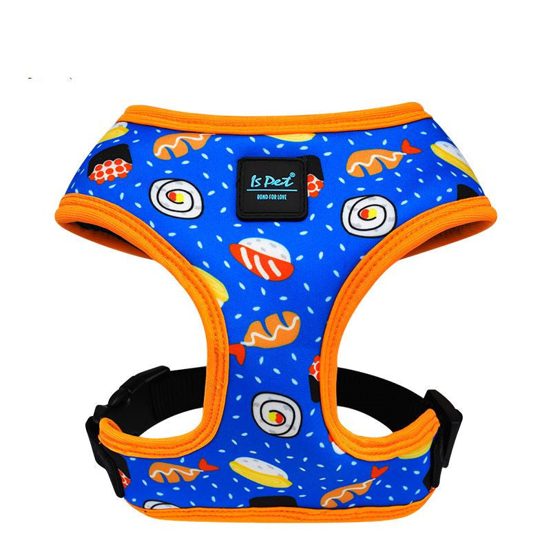Harness and leash for dogs model "Florida" - IsPet