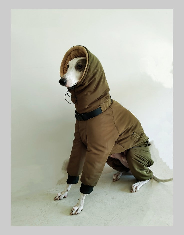 Abrigo para Galgos Españoles - 4 Patas Acolchado de Forro Polar