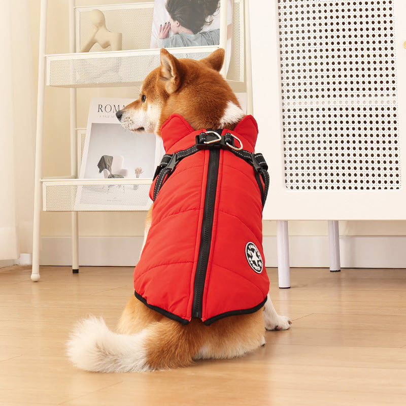 Hundegeschirrmantel – Komfort, Sicherheit &amp; Stil