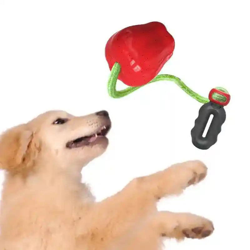 Gioco Corda Mela per Cani - Resistente e Atossico by Dog Moda