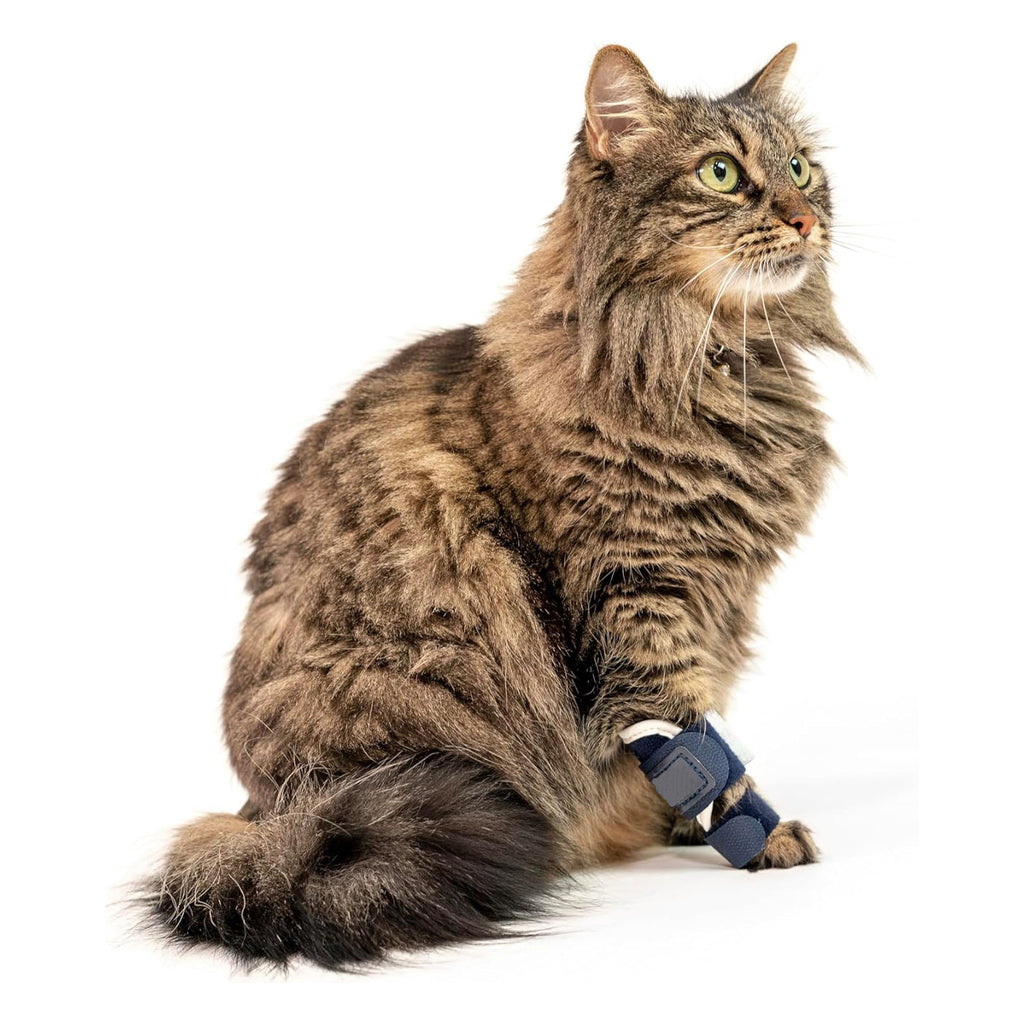 Tutore Ortopedico Zampa Anteriore Gatto - Splint