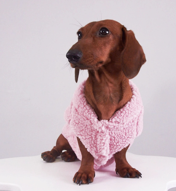 Dachshund Fleece Pillow Coat - Pig or Bear