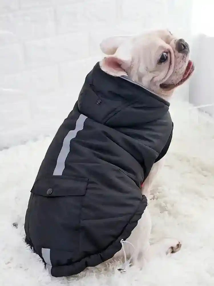 Cappotto Cane Imbottito Riflettente - Cappuccio e Tasche by Dog Moda