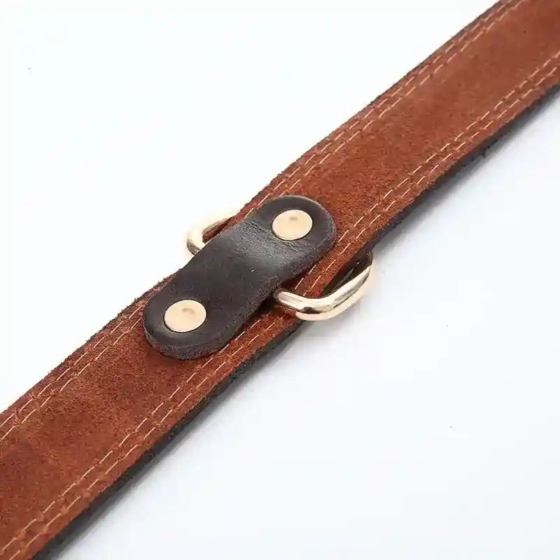 Collare Cani Pelle Marrone - Resistente e Regolabile by Dog Moda