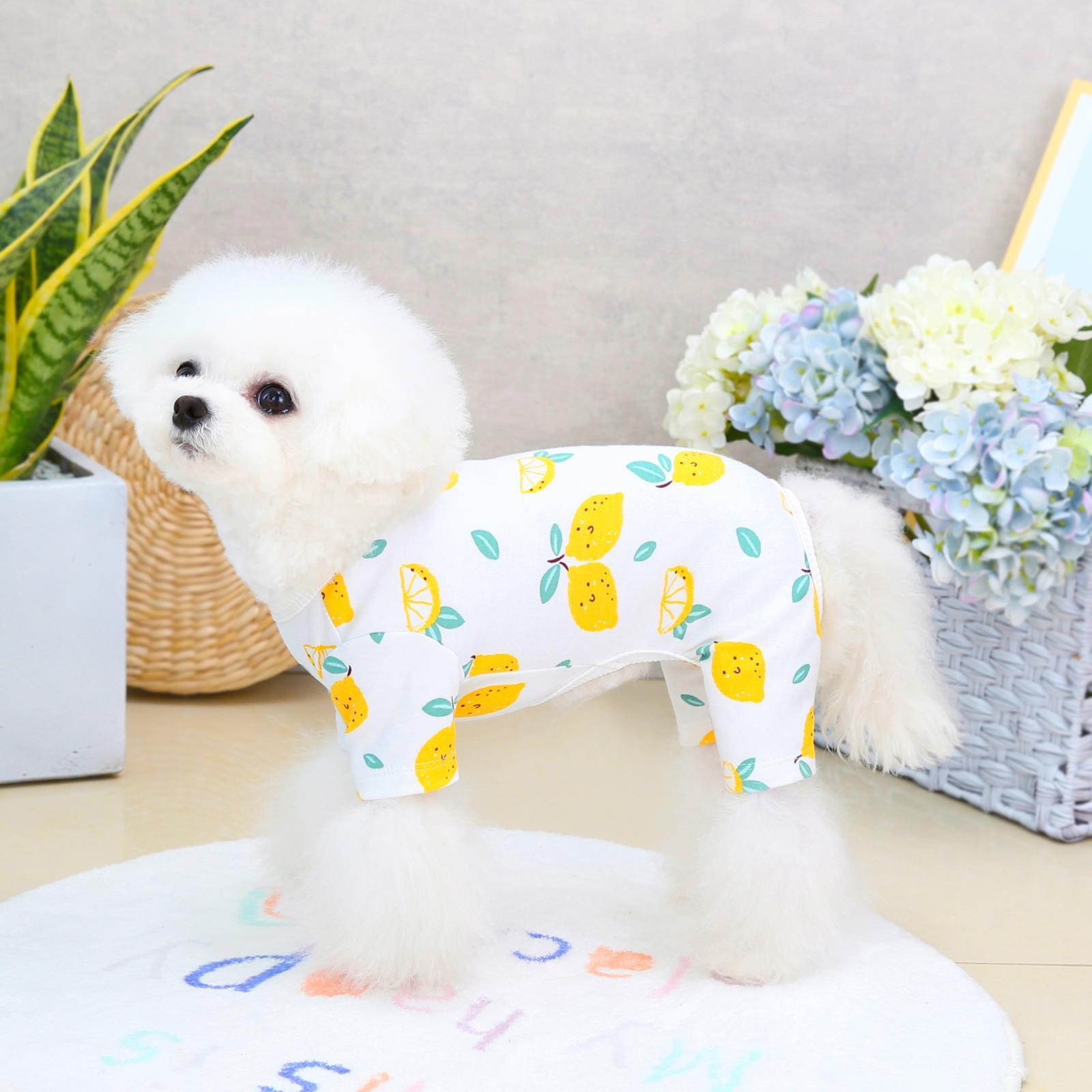 "Dream Pet" Dog Jumpsuit