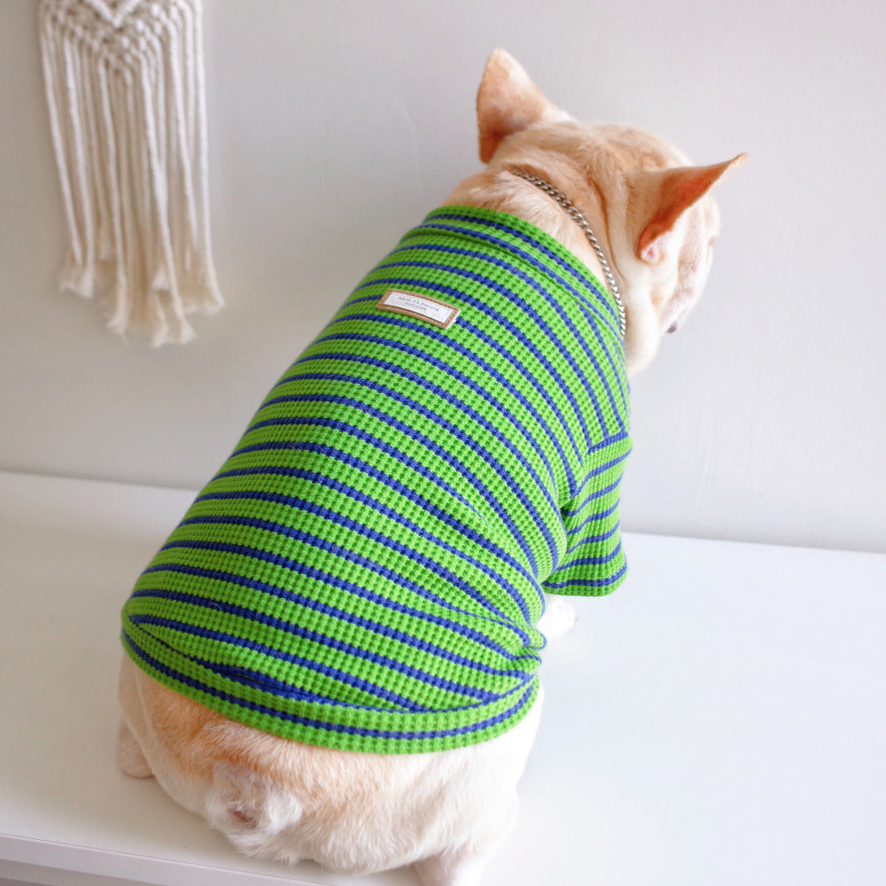 Green and Blue Striped Cotton Dog T-Shirt "New Fashion"