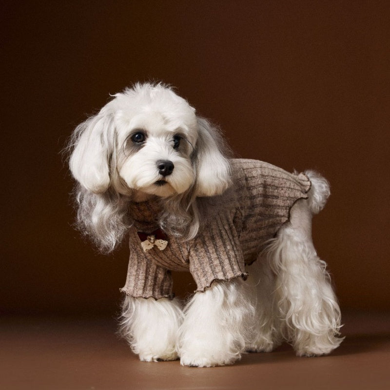 Elegant Buttons Dog Dress - Bow on Collar