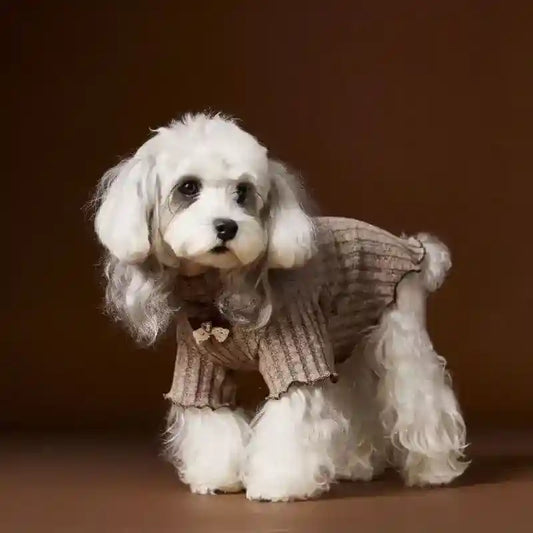 Vestito Elegante Buttons per Cani - Fiocco sul Colletto by Dog Moda