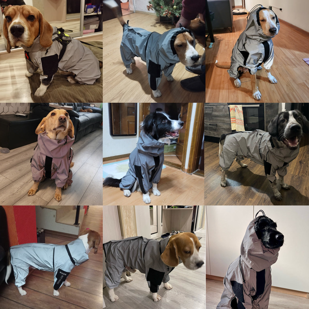 Raincoat for Four-Legged Dogs "Pluto" - Total Protection from Rain and Wind