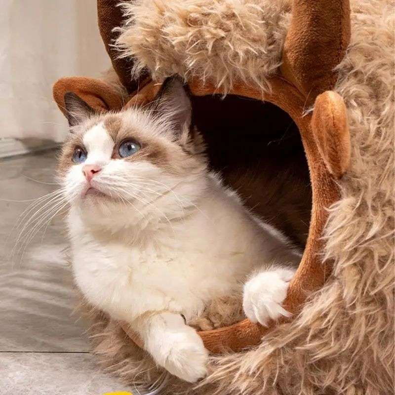 Cuccia per Gatti Yak - Cat Cave Morbida e Calda con Copertura