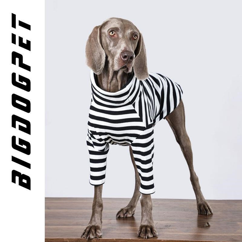 Maglia per Cani a Righe Bianche e Nere Collo Alto