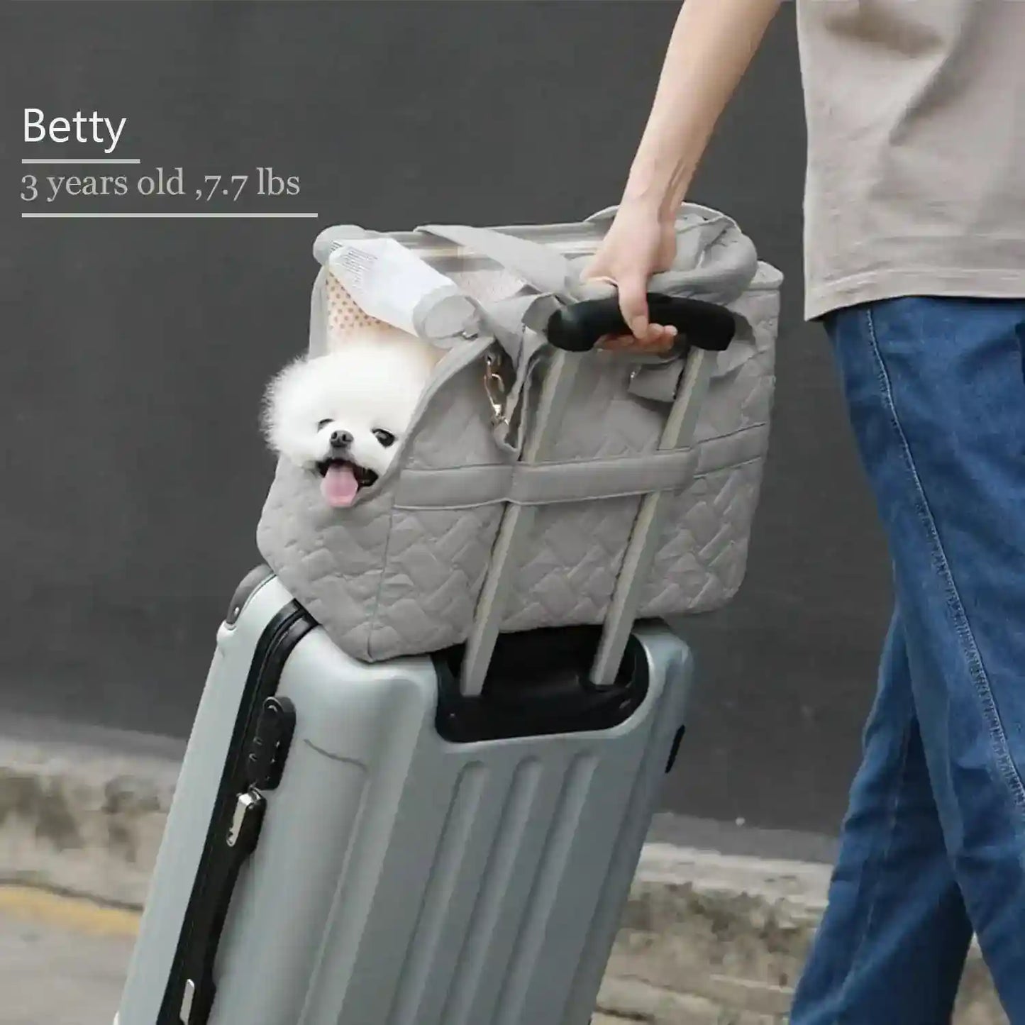 Trasportino Patazone per Cani e Gatti con Tasche e Tracolla by Dog Moda