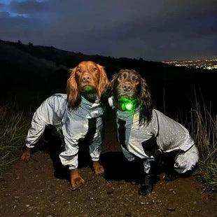 Impermeabile Cani Futura 4 Zampe - Antipioggia con Zip by Dog Moda