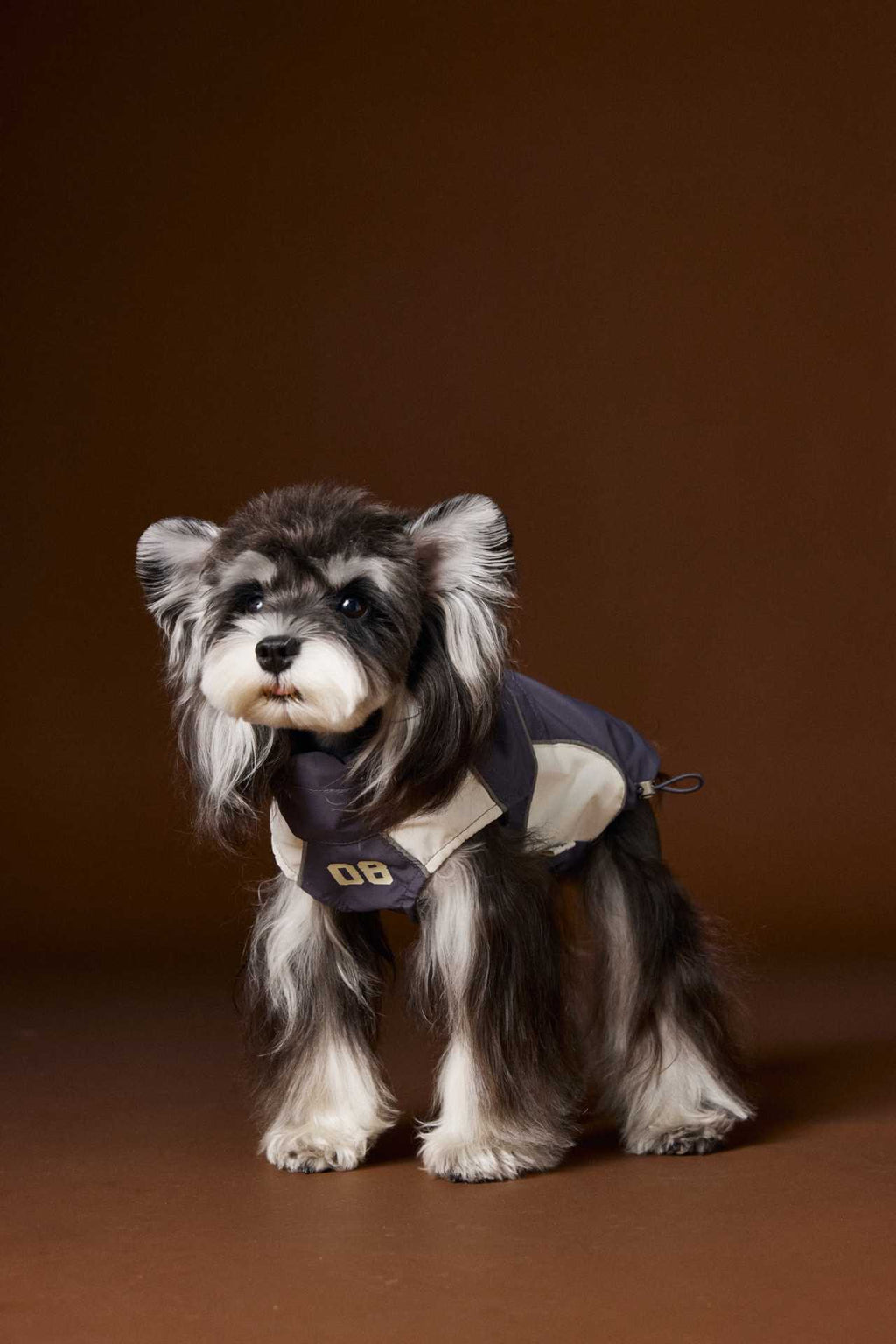 Tawney Bear Blue Raincoat - Drawstring Vest