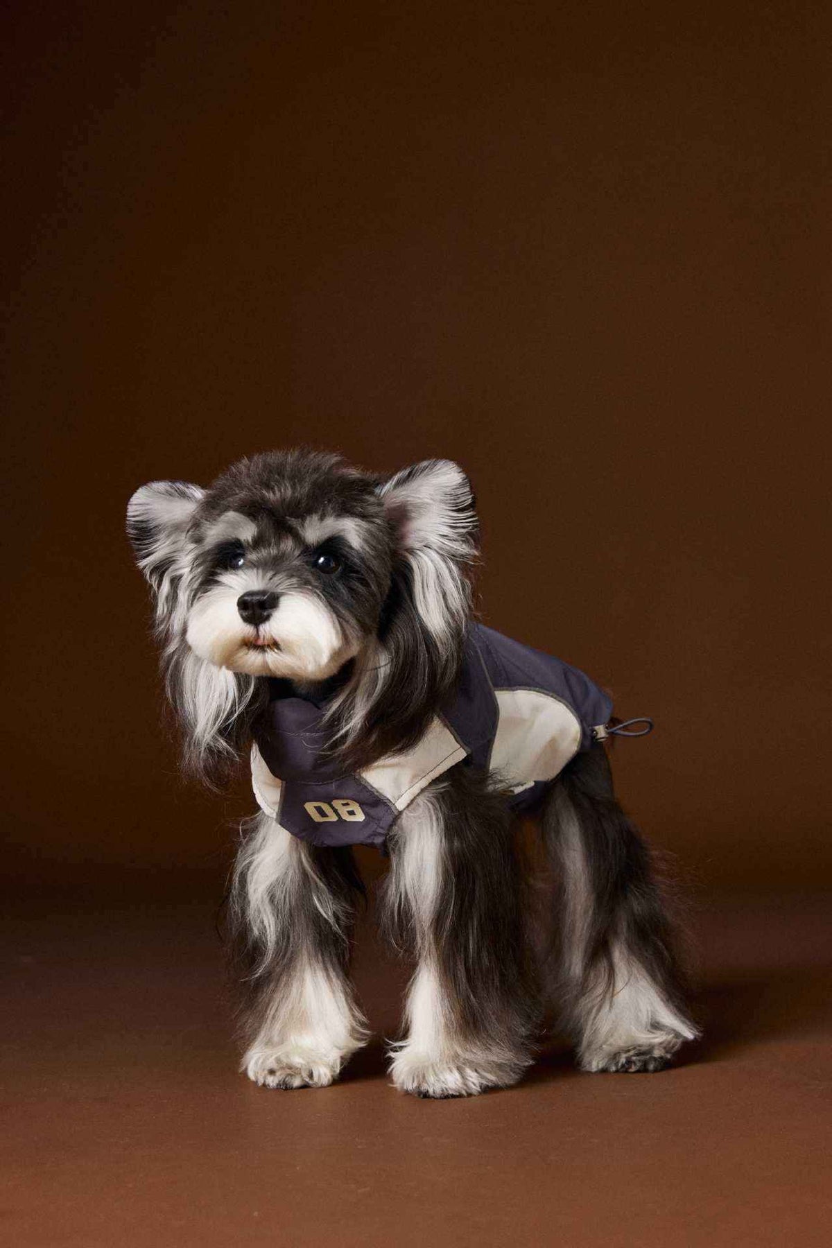 Impermeabile Tawney Bear Blu - Smanicato con Coulisse by Dog Moda