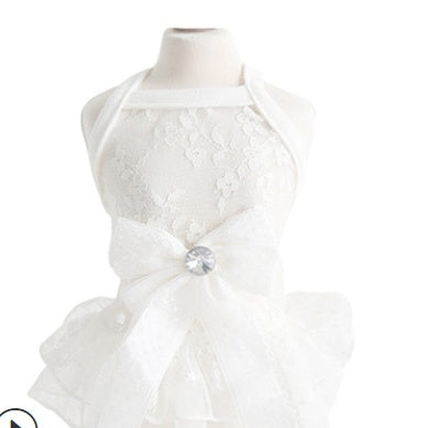 White Dog Formal Dress with "Frozen" Embroidery
