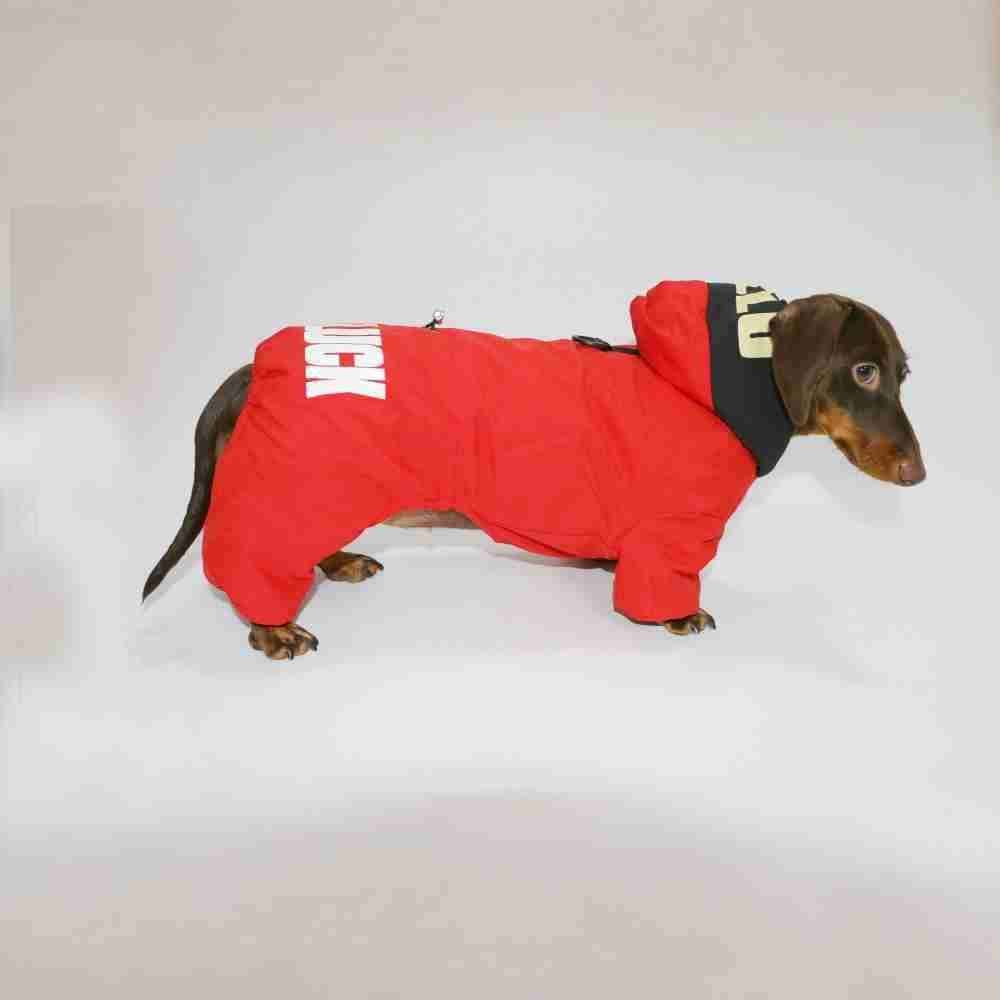 Impermeabile per Bassotto “Good Luck” – Caldo, Comodo e Stiloso by Dog Moda
