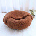 Cozy brown fluffy round pet bed on white fur rug with small green plant and white curtain background