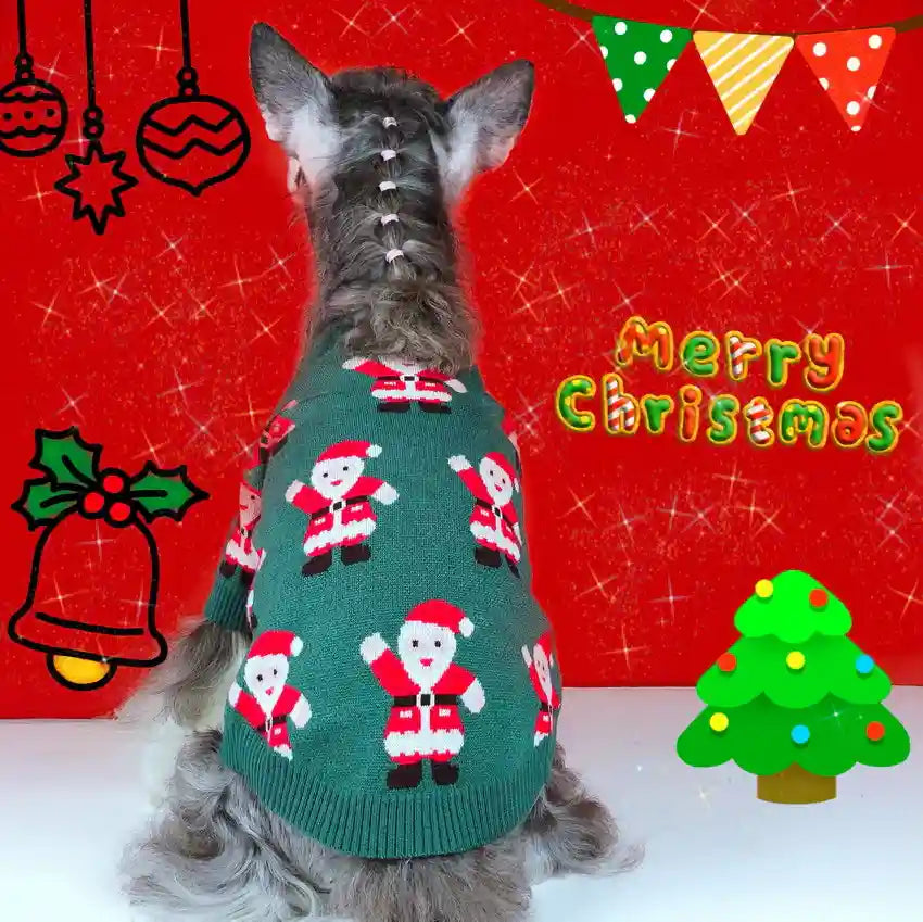 Maglione Natale Cani Babbo Natale Verde - Lana Caldo by Dog Moda