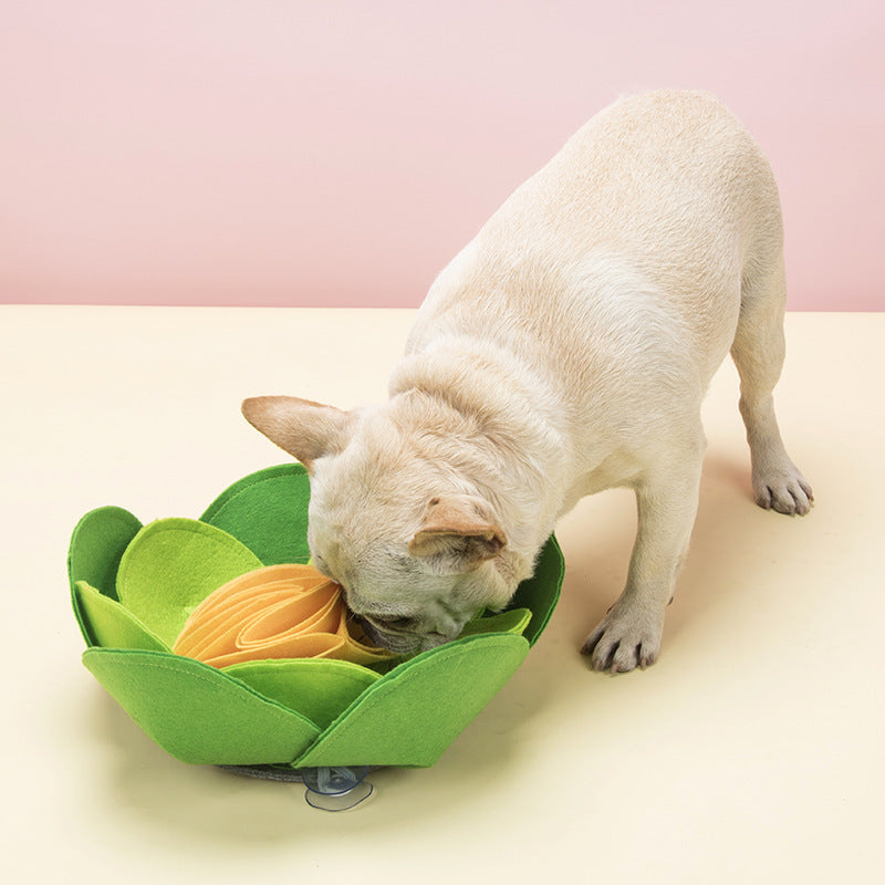 Tappetino olfattivo per cani – Stimolazione mentale e divertimento per il tuo amico a quattro zampe