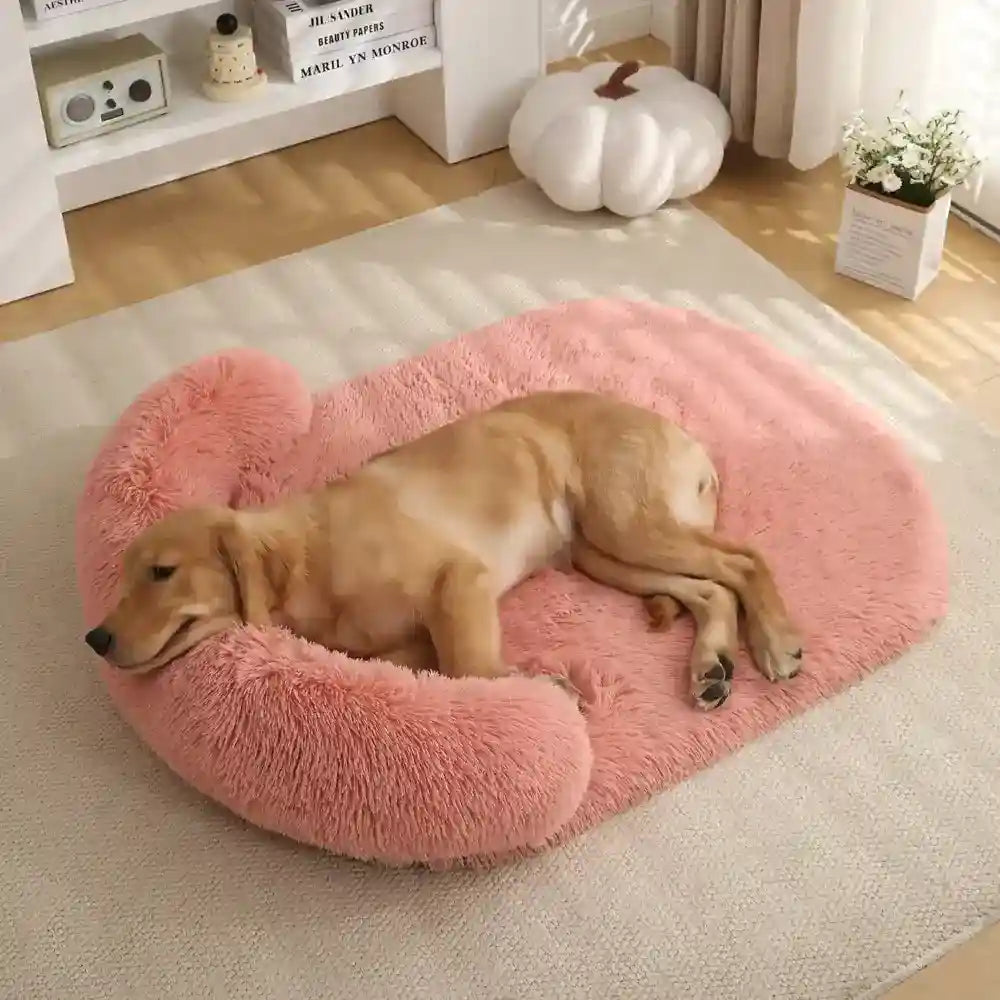 Cuccia Cane Dreamy Super Soft - Pile Lungo Imbottita by Dog Moda
