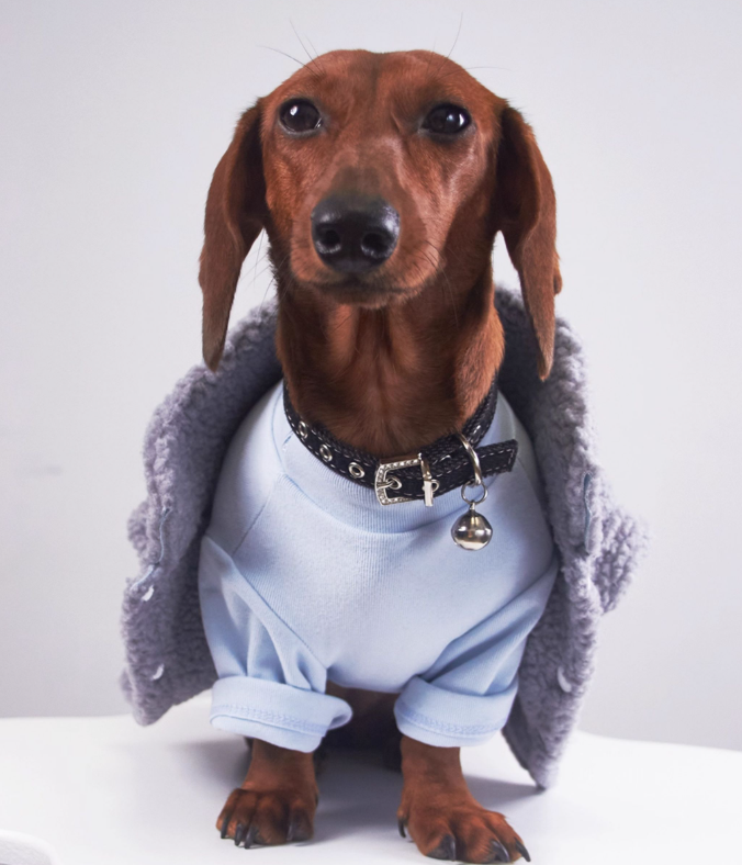 Cappotto Cani Bassotto Waffle Pile Lungo Smanicato