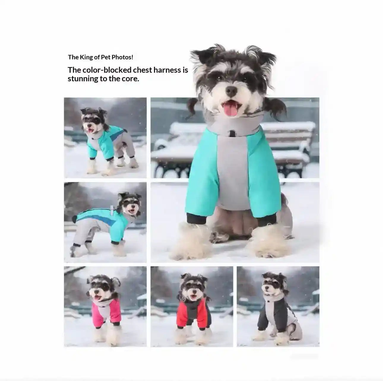 犬用防水ブリザードコート - 雪と氷用