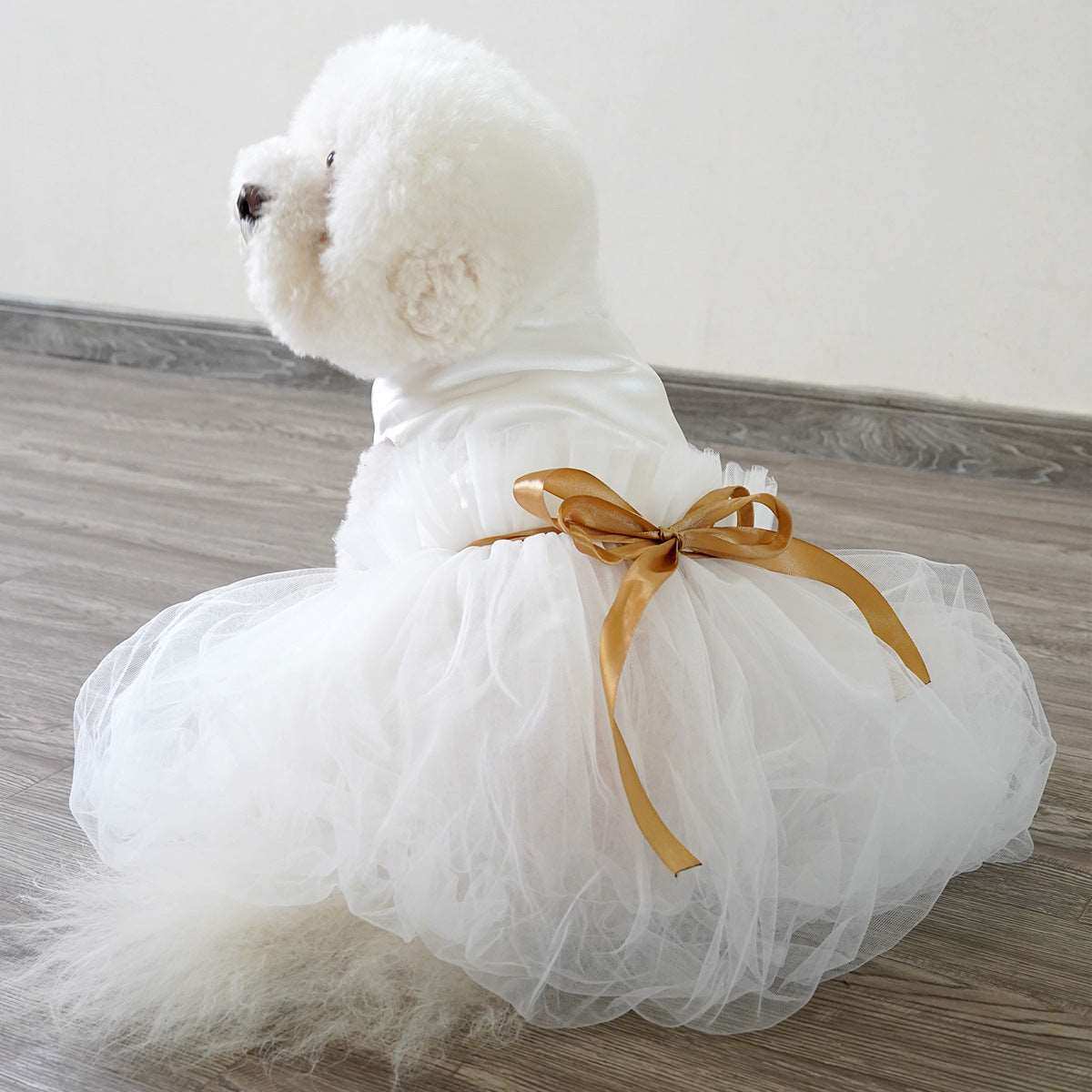 Vestito da Cerimonia per Cani Barboncino – Eleganza e Stile per Occasioni Speciali