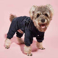 Small fluffy dog wearing a black quilted jumpsuit against a pink background