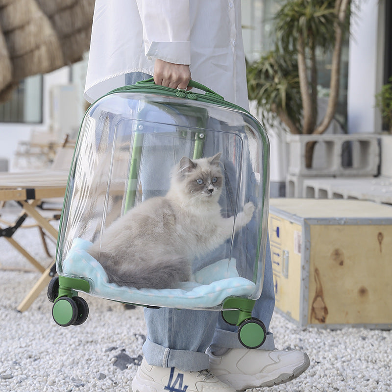 Trolley Trasparente per Cani e Gatti - Controllo e Ventilazione Totale