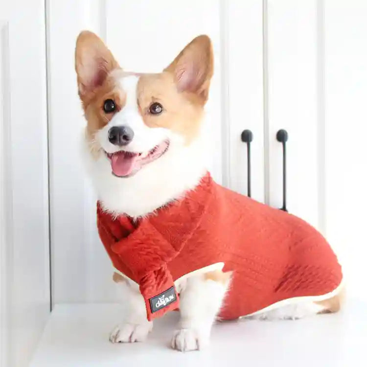 Maglione Cani Swiss con Sciarpina - Treccia Caldo by Dog Moda