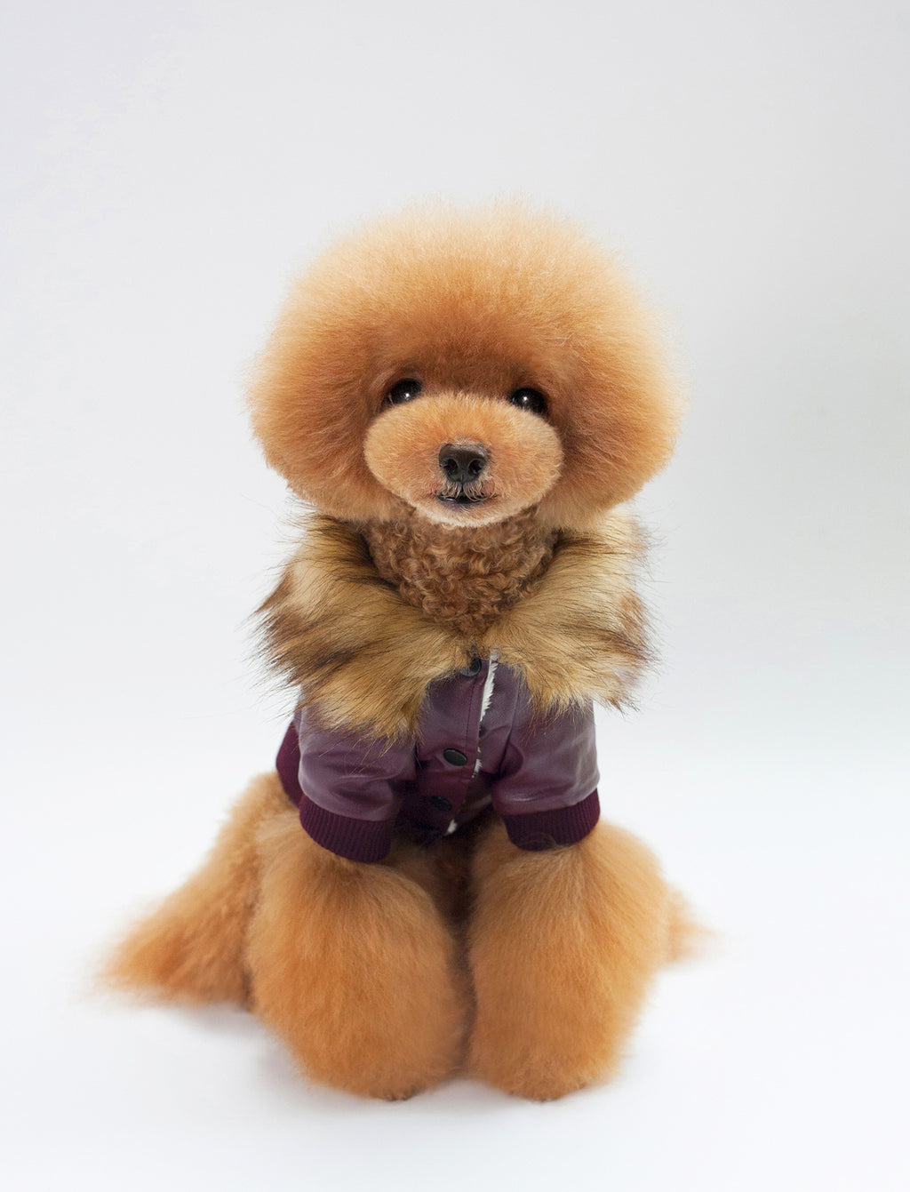 Gabrielle Faux Leather Coat - Faux Fur and Fleece