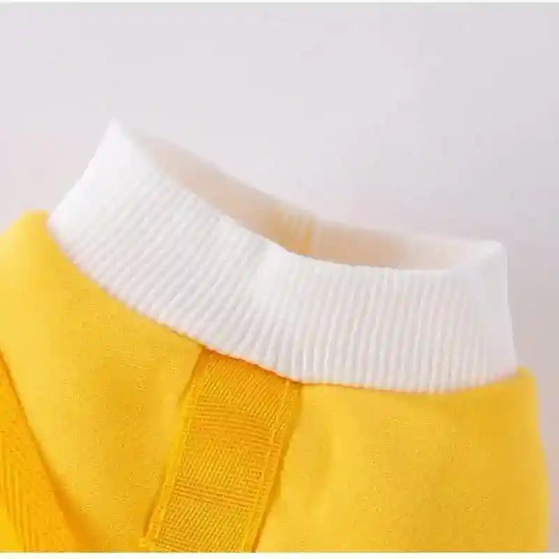 犬用フード付きバニースウェットシャツ - カートゥーンベア