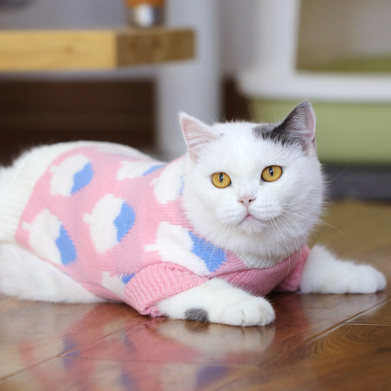 Cat Sweater – Soft, Warm and Available in Many Patterns
