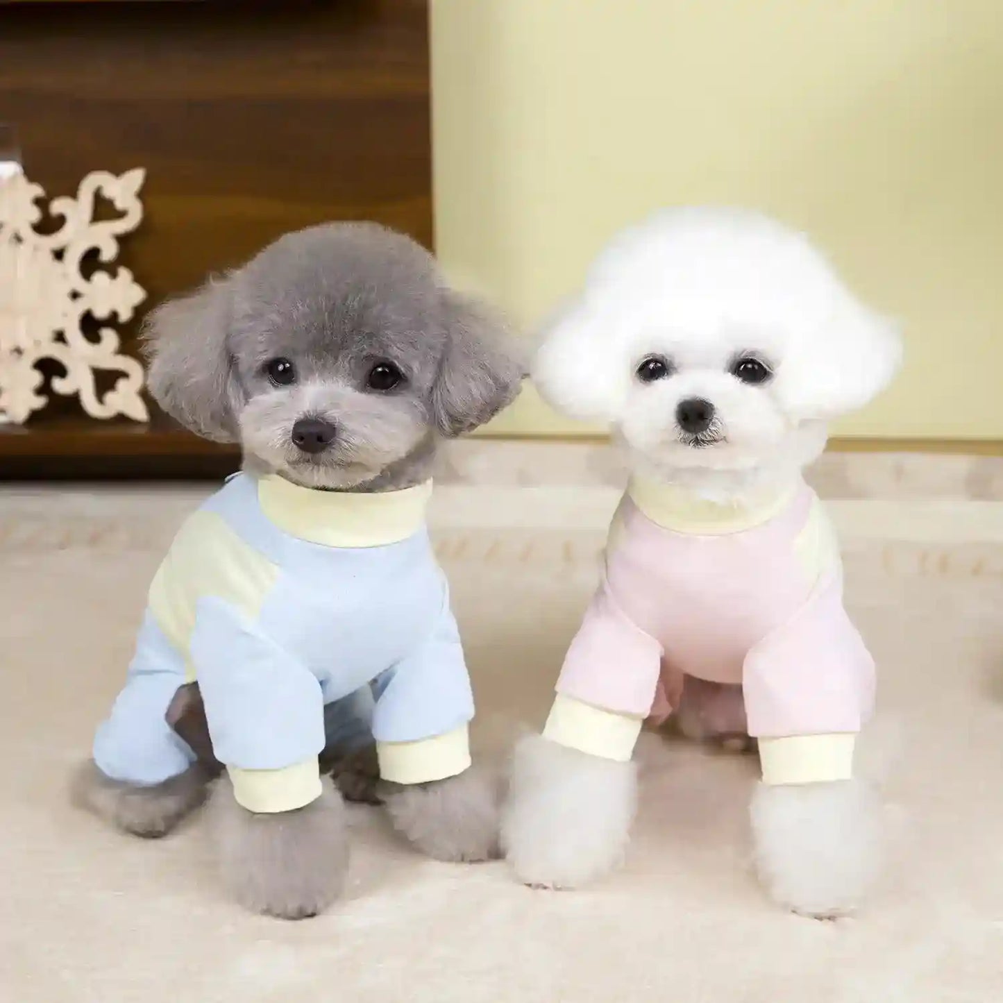 Tutina per Cani 4 Zampe Silk - Seta Glacé Traspirante con Guinzaglio by Dog Moda