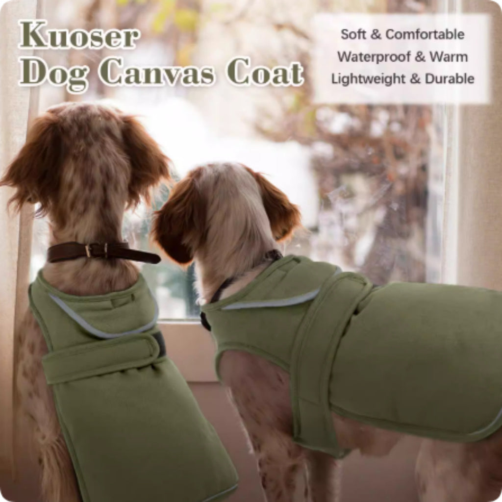 Waterproof Dog Coat with Elastic Paws and Reflective Strips