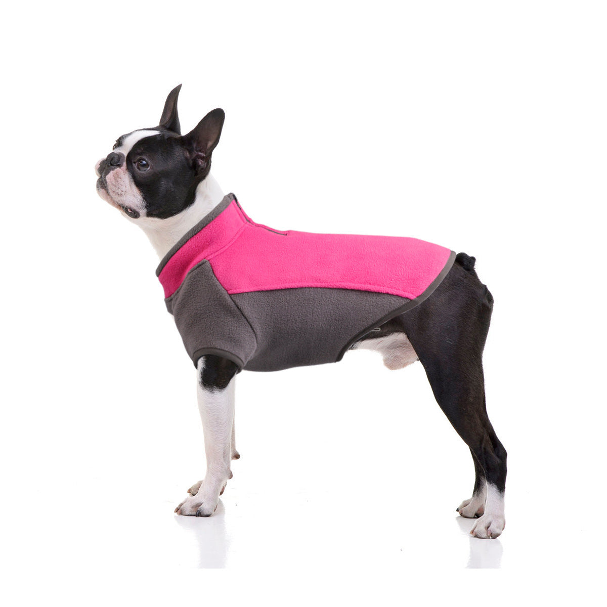 Boston Terrier Fleece Coat | Stretchy &amp; Zip Neck
