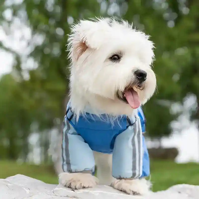 Tuta Impermeabile Cani - Riflettente Outdoor Imbottita by Dog Moda