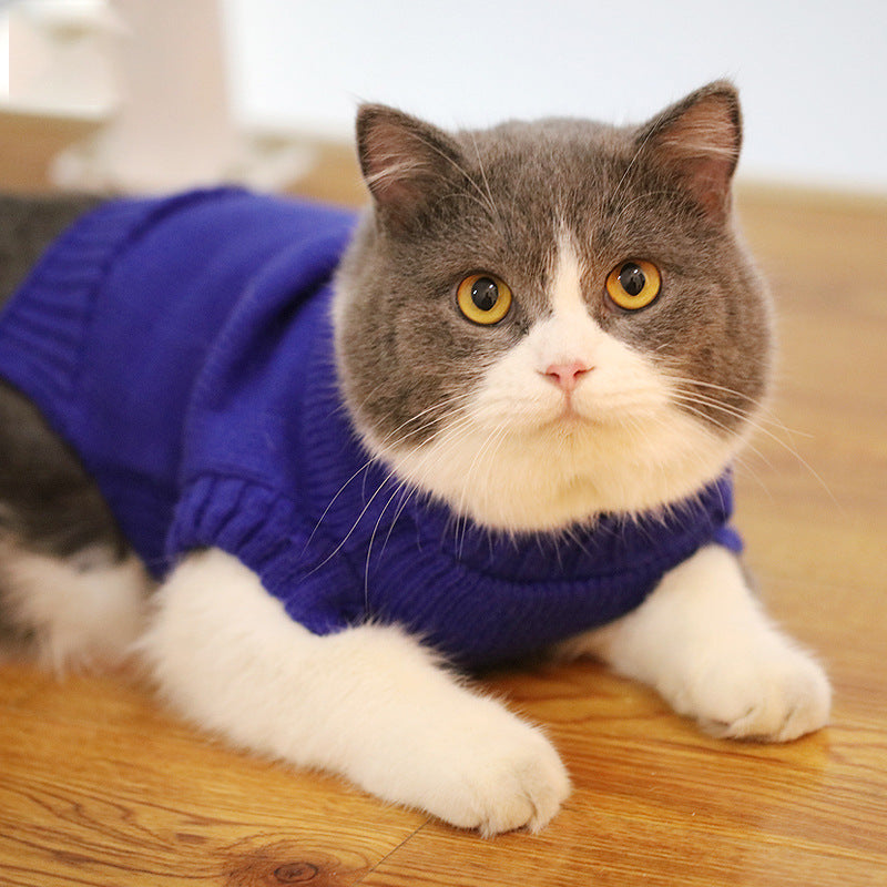 Cat Sweater – Soft, Warm and Available in Many Patterns