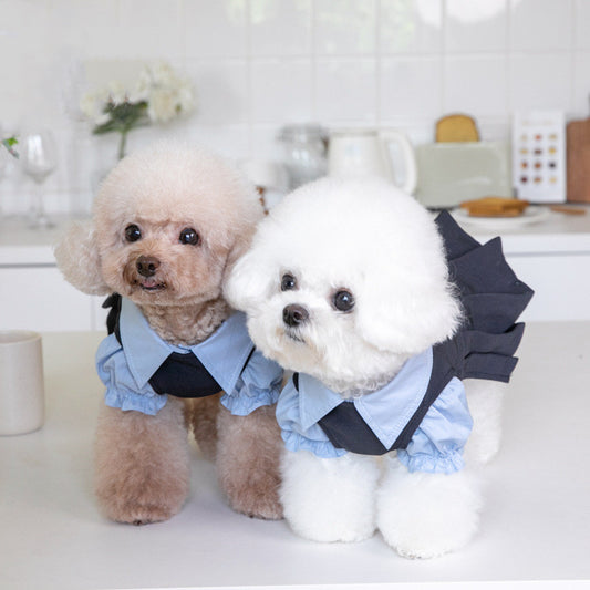 Vestito per Cani Elegante Tipo Divisa Scolastica by Dog Moda
