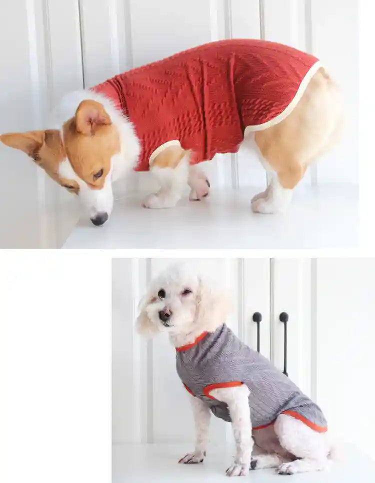 Maglione Cani Swiss con Sciarpina - Treccia Caldo by Dog Moda